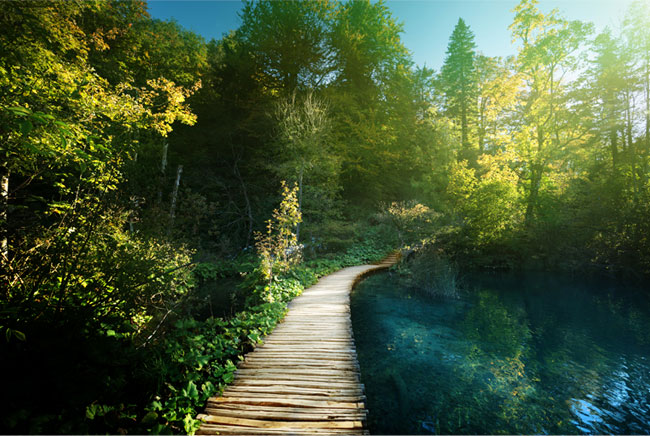 Fotomurales parque nacional lagos de plitvice